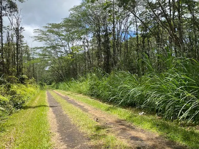 14-3525 Pikake Rd, Pahoa, HI 96778 - #2