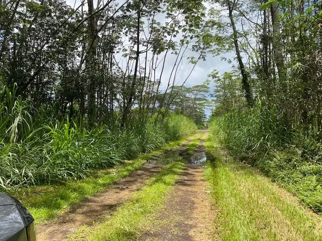 14-3525 Pikake Rd, Pahoa, HI 96778 - #3