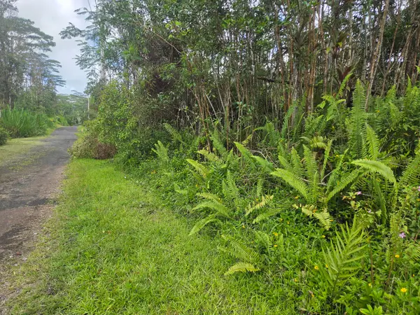 14-3362 Paradise Rd, Pahoa, HI 96778