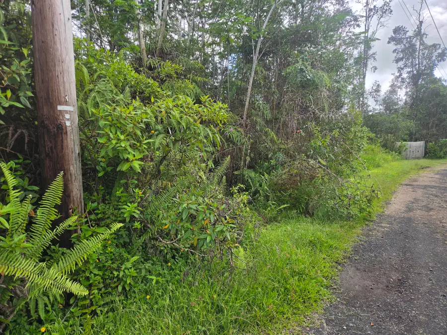 14-3362 Paradise Rd, Pahoa, HI 96778 - #2