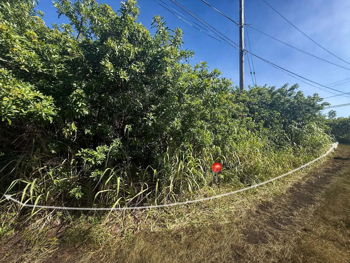 94-6500 Kai Kane St, Naalehu, HI 96772 - #1