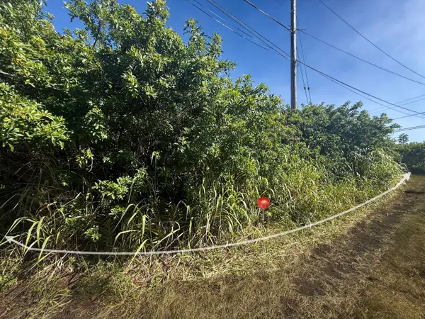 94-6500 Kai Kane St, Naalehu, HI 96772