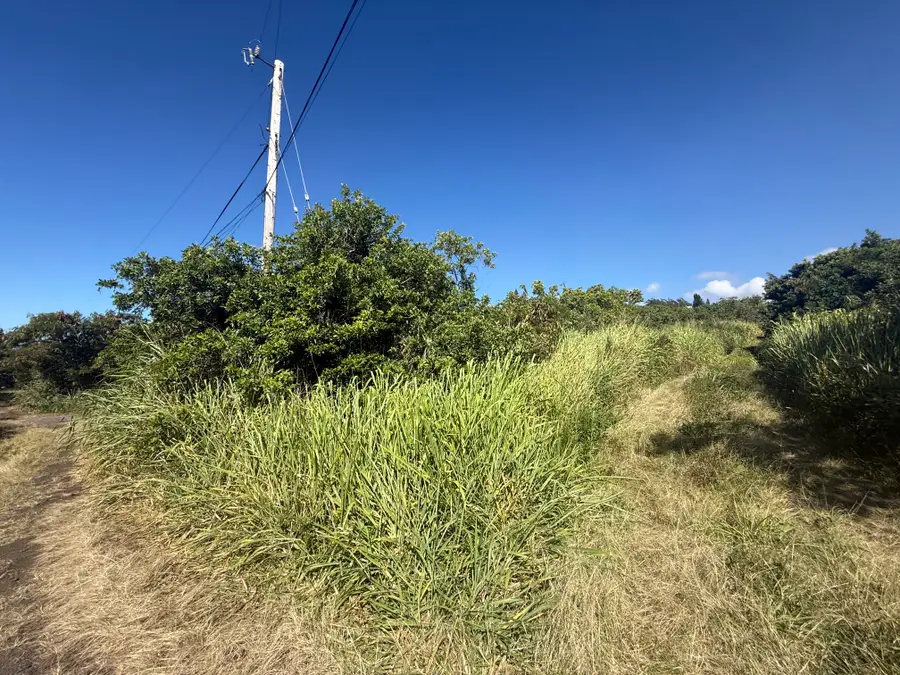 94-6500 Kai Kane St, Naalehu, HI 96772 - #2