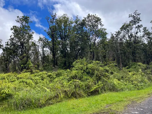 Apuakehau Rd, Volcano, HI 96785