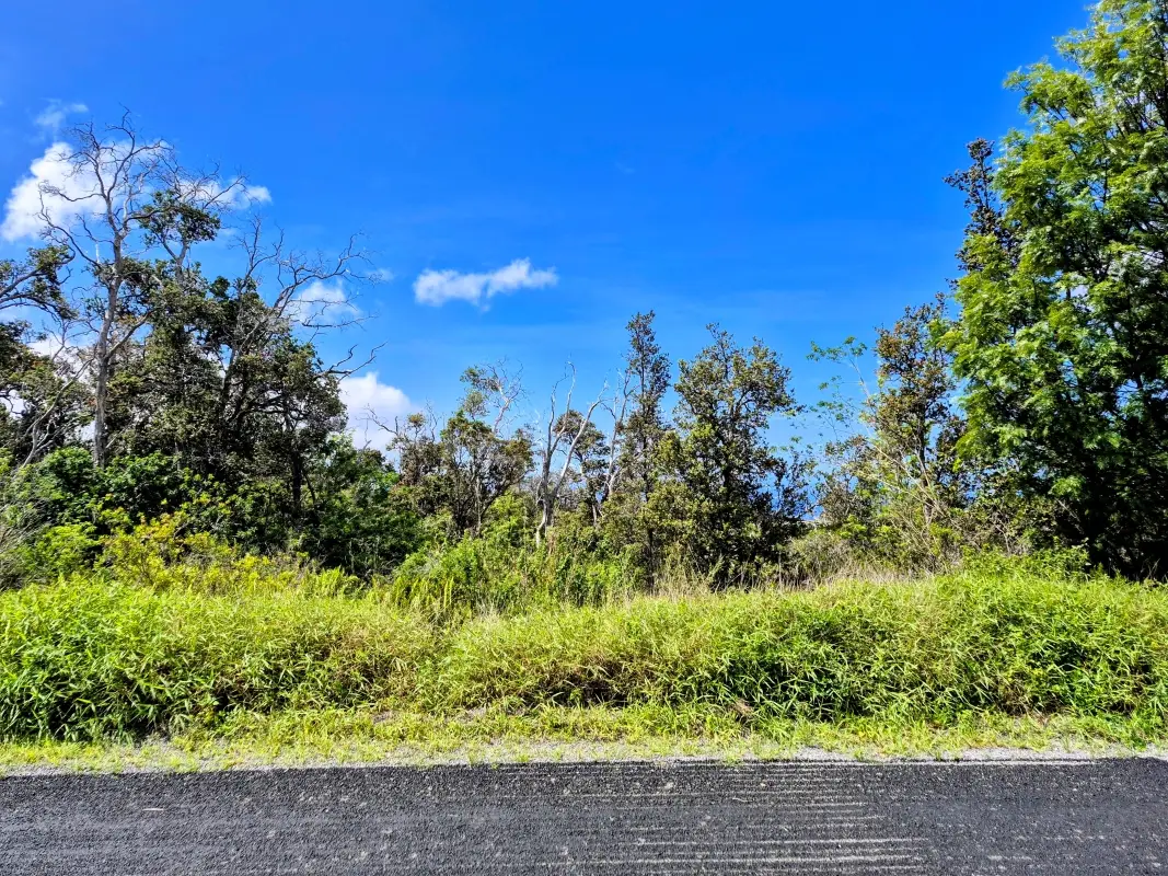 Luau Dr, Ocean View, HI 96737 - #1