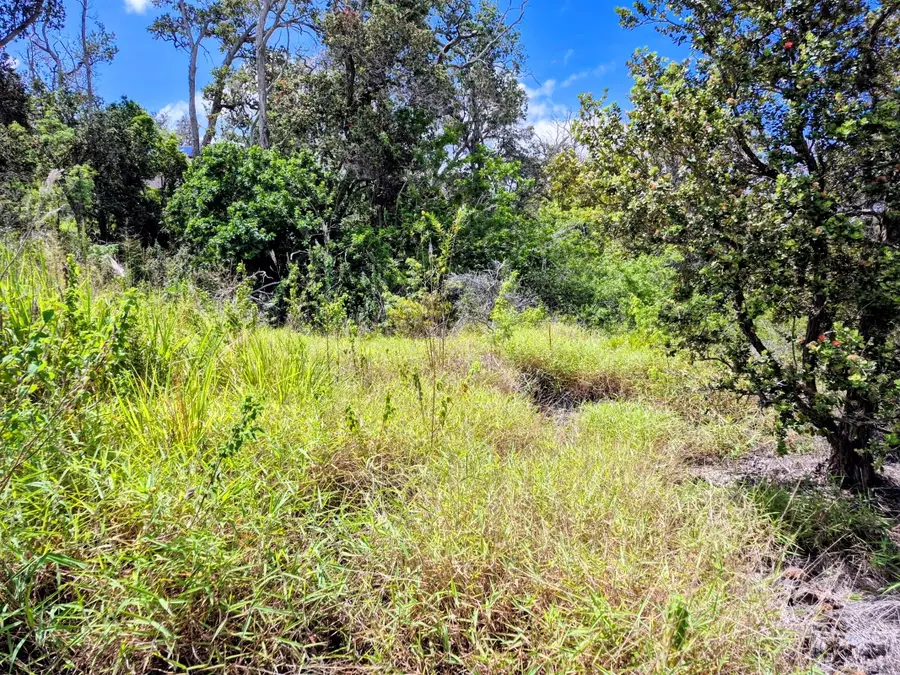 Luau Dr, Ocean View, HI 96737 - #2