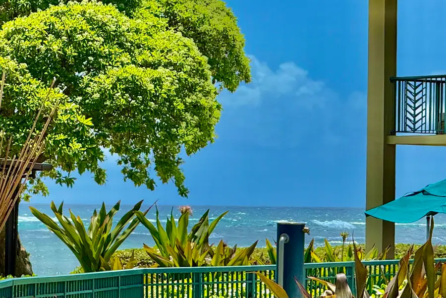 4-820 Kuhio Hwy #A101, Kapaa, HI 96746 - #3