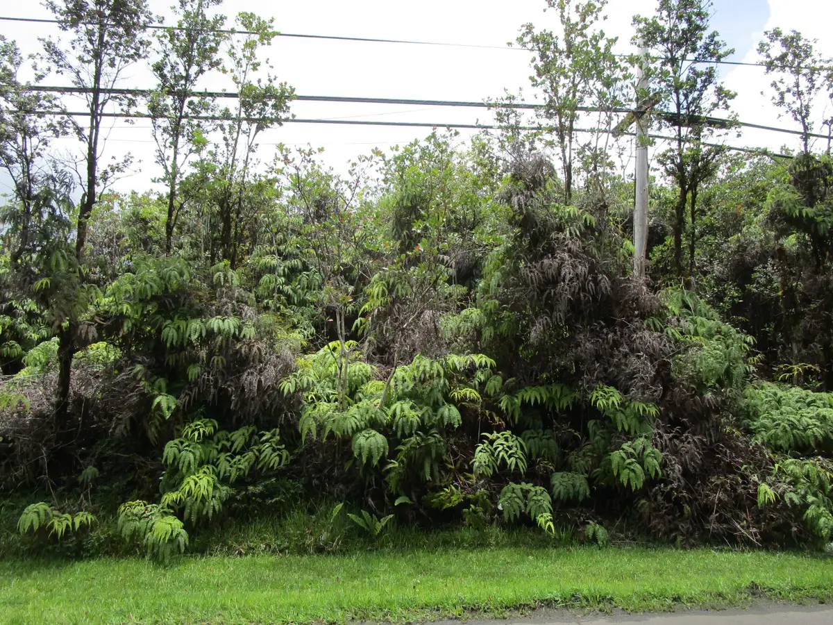 Amakihi St, Mountain View, HI 96771 - #1