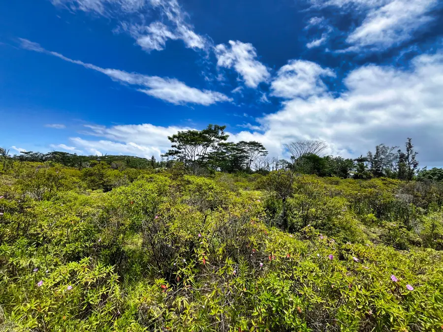 9th Ave (kalaunu), Keaau, HI 96749 - #2