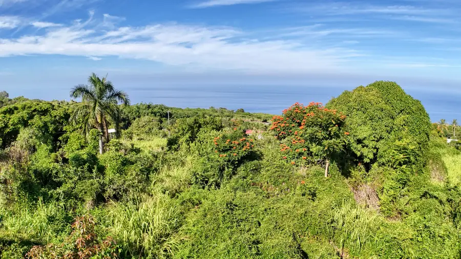 81-5534 Alaula Road, Kealakekua, HI 96750 - #2