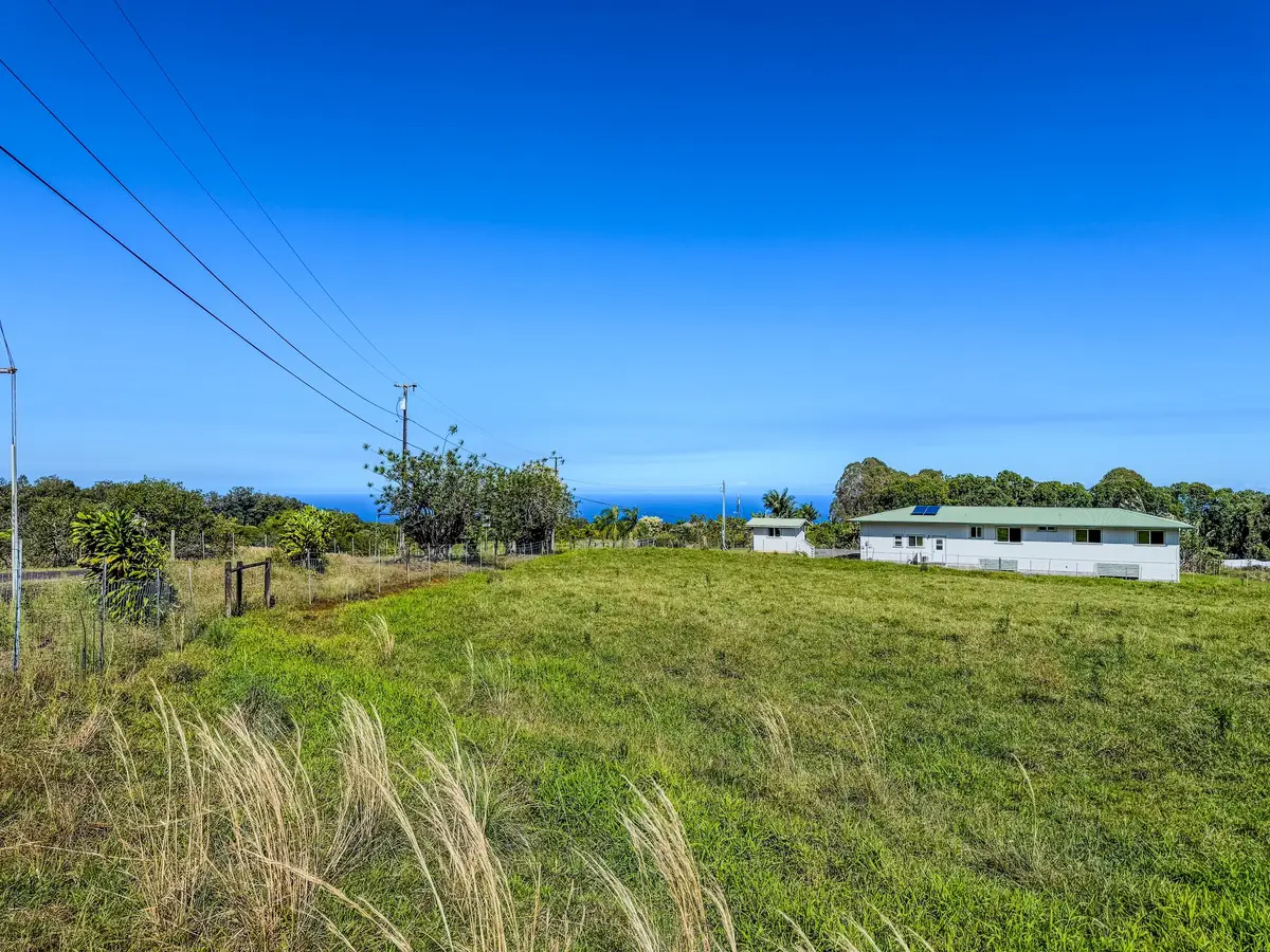 29-605 Chin Chuck Rd, Hakalau, HI 96710 - #1