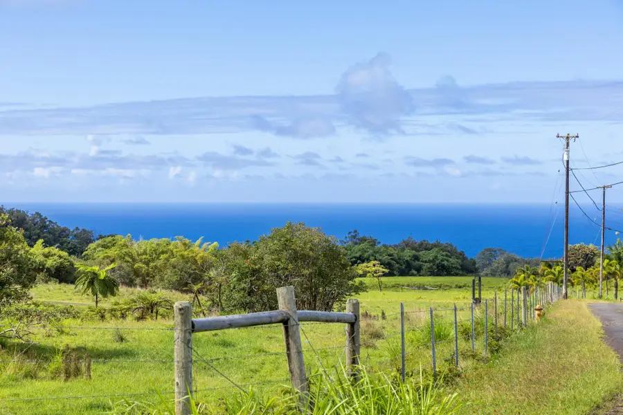 29-605 Chin Chuck Rd, Hakalau, HI 96710 - #2