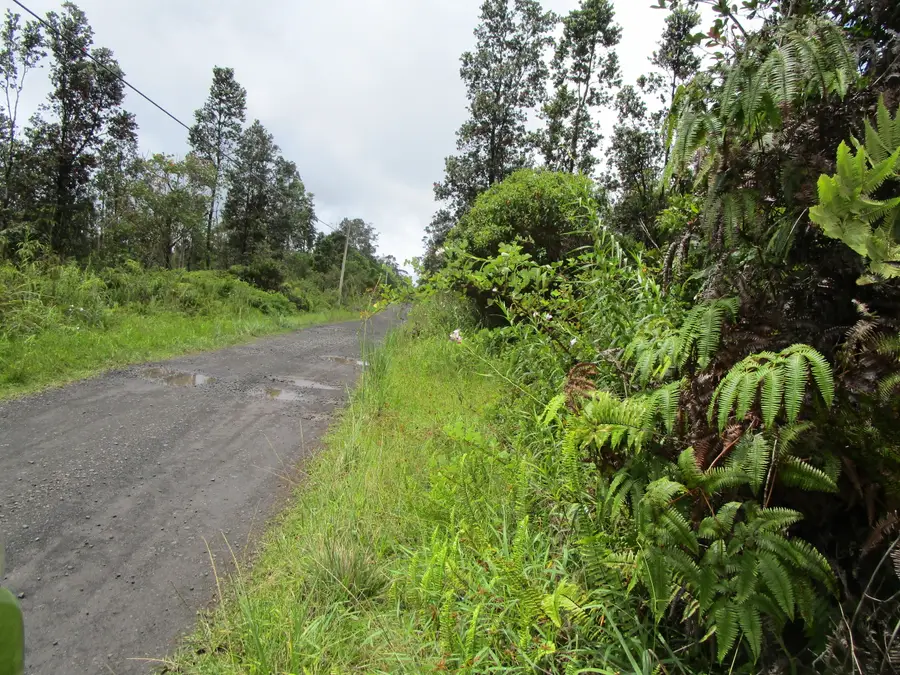 Alaula St, Volcano, HI 96785 - #3