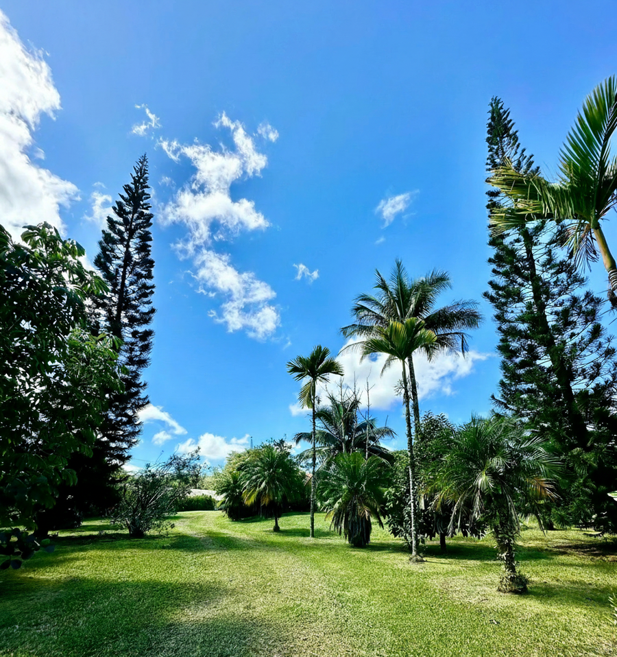 15-1912 28th Ave, Keaau, HI 96749 - #3