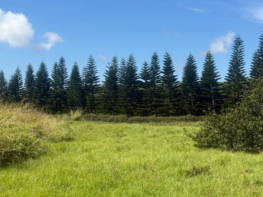 93-5509 Kai Makani Pl, Naalehu, HI 96772 - #3