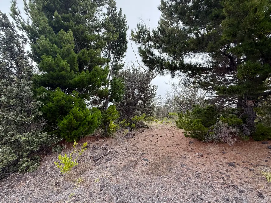 Pineapple Pkwy, Ocean View, HI 96737 - #2