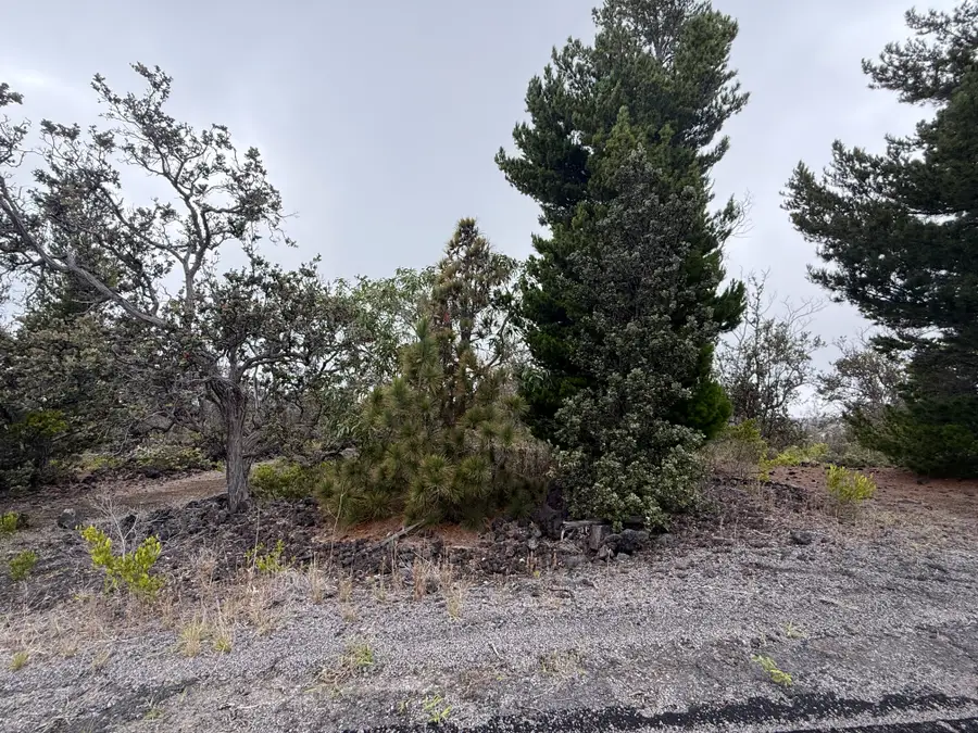 Pineapple Pkwy, Ocean View, HI 96737 - #3