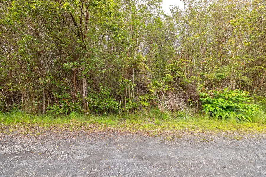 Lehuanani St, Mountain View, HI 96771 - #3