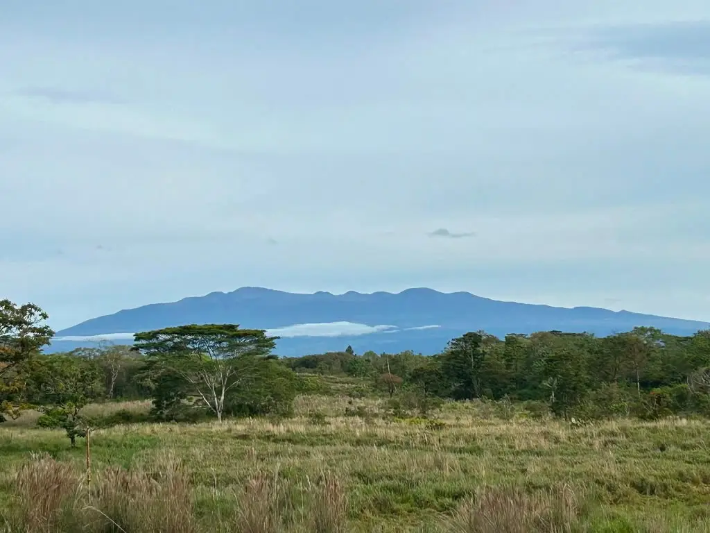 South Rd, Kurtistown, HI 96760 - #1