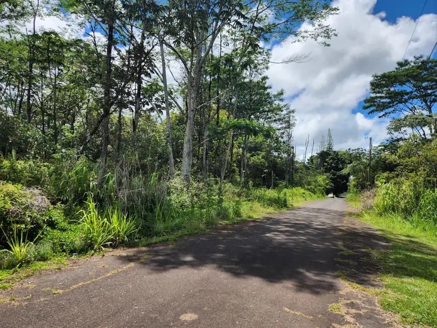 Sandalwood Ct, Kurtistown, HI 96760 - #3
