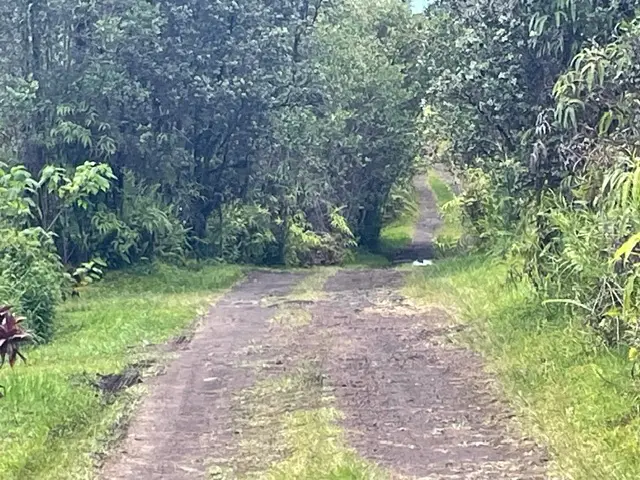 Road 6 (ooaa), Kurtistown, HI 96760 - #3