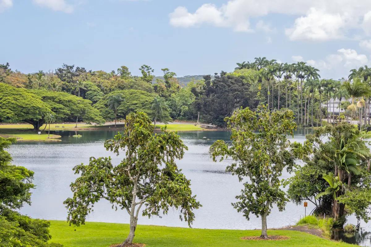 101 Hilo Lagoon Centre #510, Hilo, HI 96720 - #1