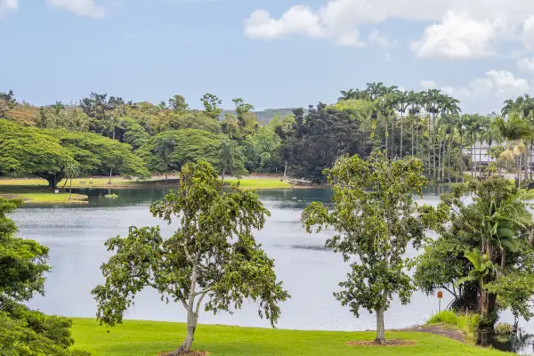 101 Hilo Lagoon Centre #510, Hilo, HI 96720