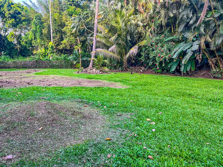 5-6671 Kuhio Hwy, Hanalei, HI 96722 - #3