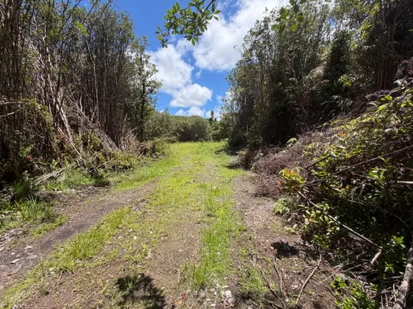 Lehua St, Mountain View, HI 96771