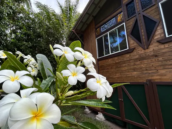 13-136 Puakenikeni Pl, Pahoa, HI 96778