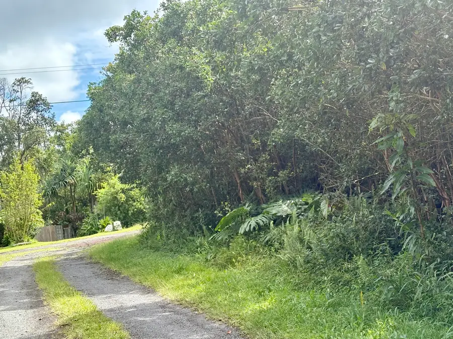 12-494 Aloha Rd, Pahoa, HI 96778 - #2