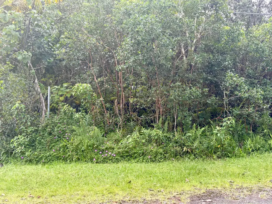 12-494 Aloha Rd, Pahoa, HI 96778 - #3