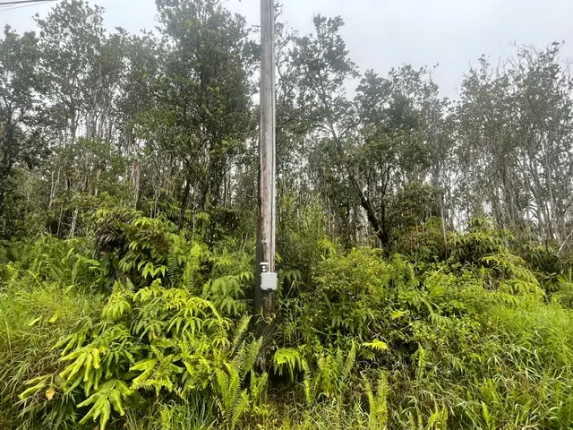 Makoa Rd, Volcano, HI 96785 - #1