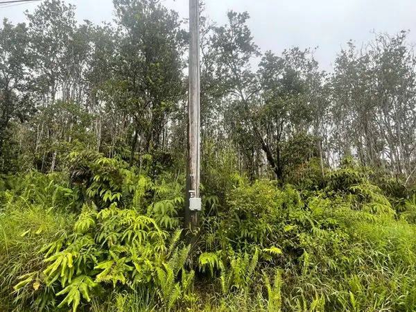 Makoa Rd, Volcano, HI 96785