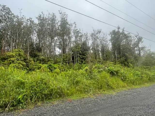 Makoa Rd, Volcano, HI 96785 - #2
