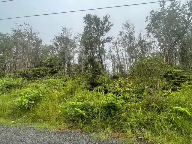 Makoa Rd, Volcano, HI 96785 - #3