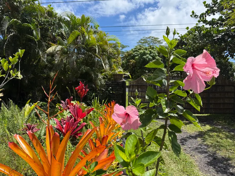 15-1640 6th Ave, Keaau, HI 96749 - #3
