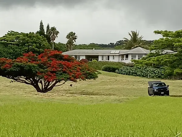 94-6311 Kamaoa Rd, Naalehu, HI 96772