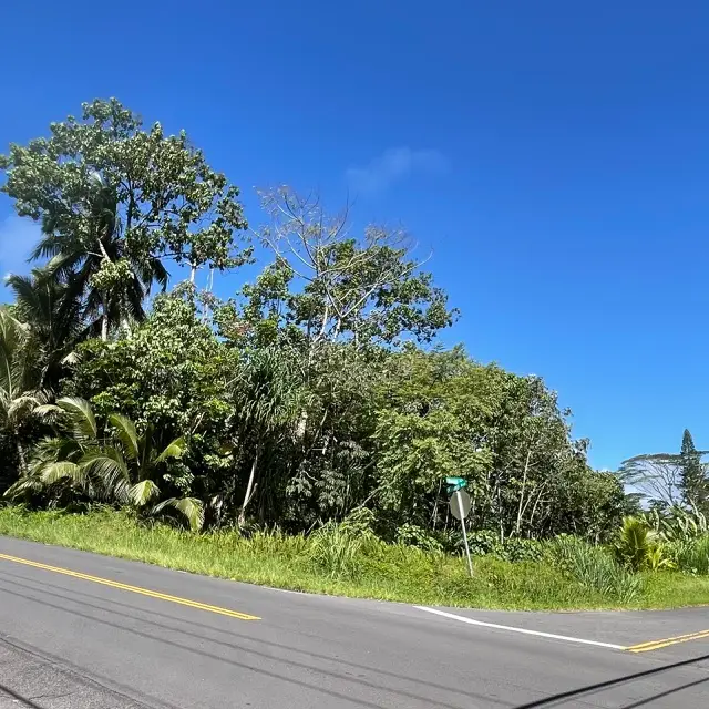 N Kahakai Blvd, Pahoa, HI 96778 - #1