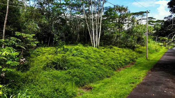 S Ohiki St, Pahoa, HI 96778