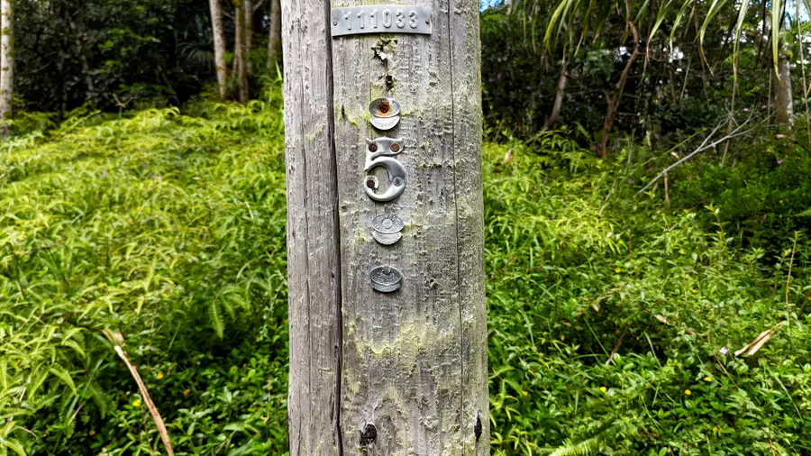 S Ohiki St, Pahoa, HI 96778 - #2