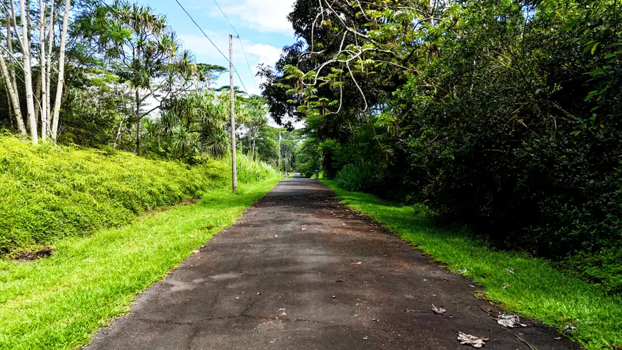 S Ohiki St, Pahoa, HI 96778 - #3