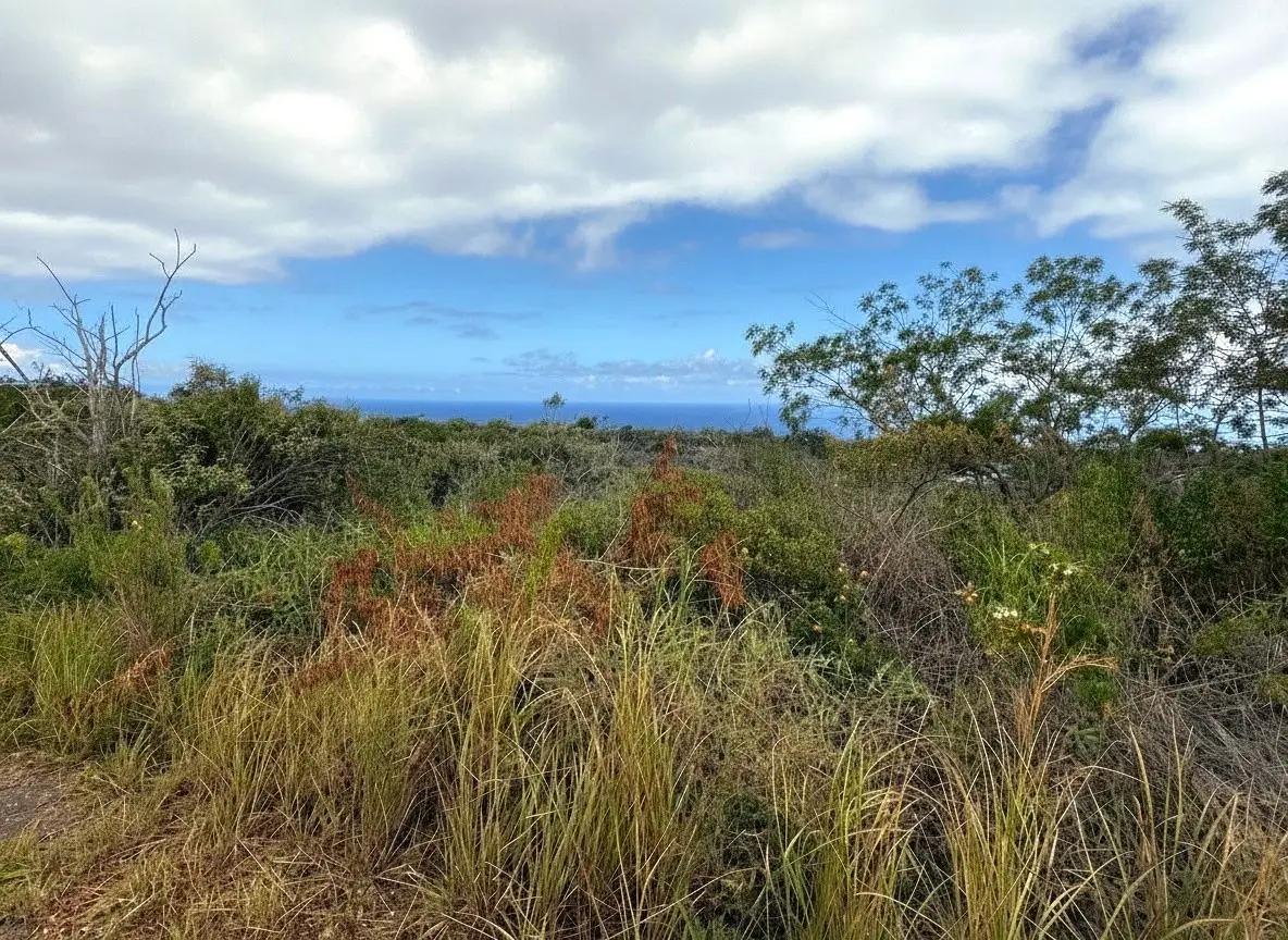 Maile Dr, Ocean View, HI 96737 - #1