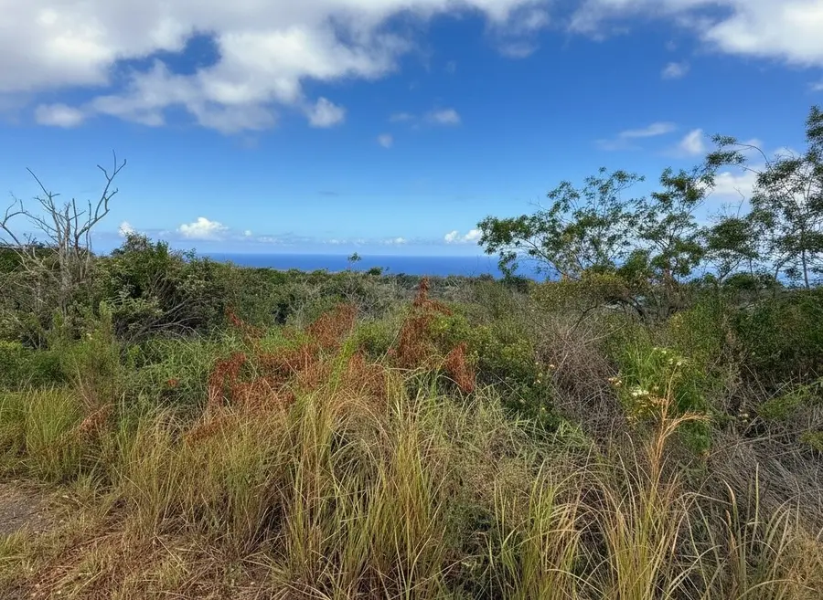 Maile Dr, Ocean View, HI 96737 - #3