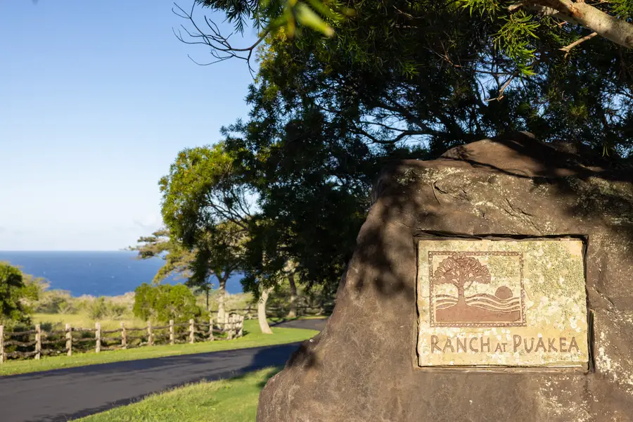 56-175 Pualani Rd, Hawi, HI 96719 - #3