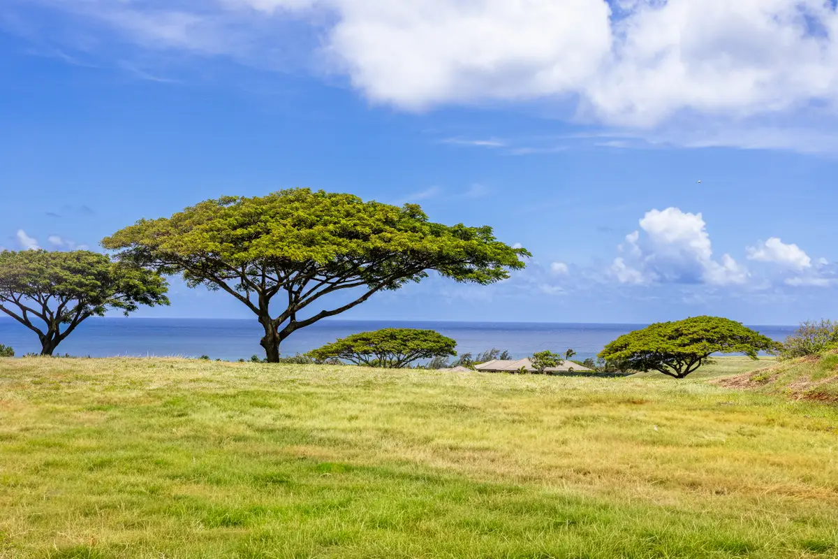 Hiki Moe Pl, Koloa, HI 96756 - #1