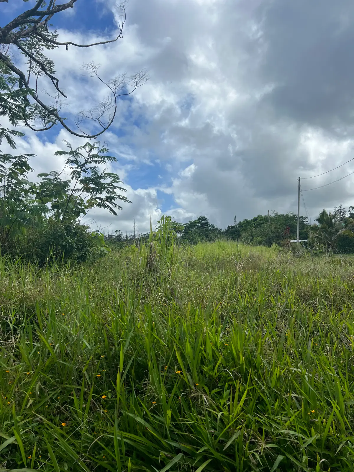 36th Ave, Orchidlands Estates, HI 96720 - #1