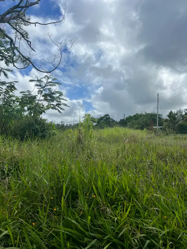 36th Ave, Kurtistown, HI 96720