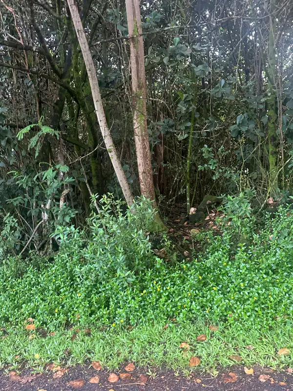 23rd Ave, Keaau, HI 96749