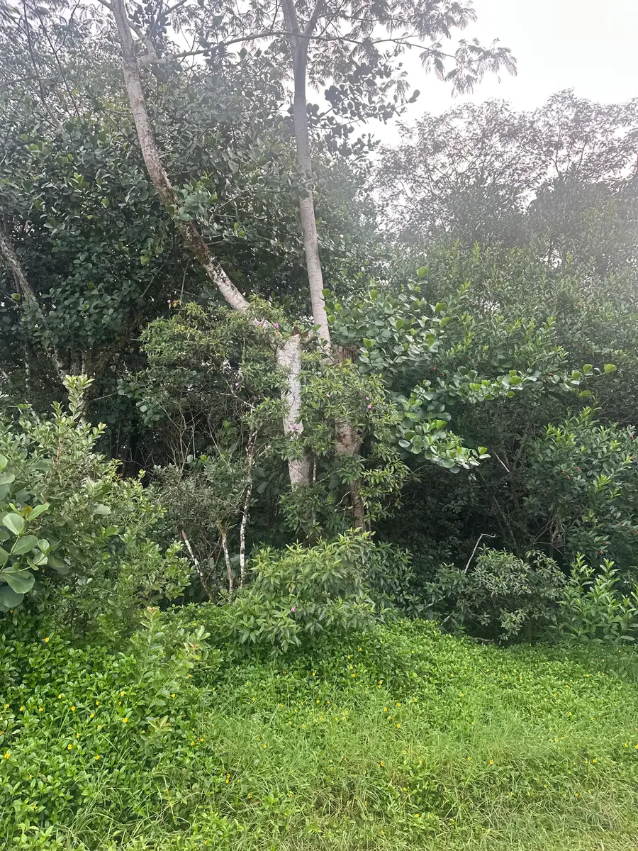 23rd Ave, Keaau, HI 96749 - #3